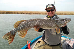 Впервые в выставке участвует «Мир Рыболова»