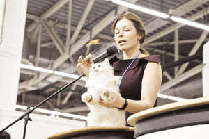 Выставка кошек — 2018: 200 усатых, ринг плюшевых котов и самая крошечная свинка