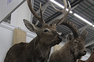 «Охотник и рыболов. Активный отдых»: одежда, снаряжение и новые знания